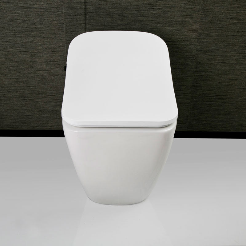  Advanced Bidet Seat With Self-sanitizing Wand Electric Toilets Seat AK-6801G