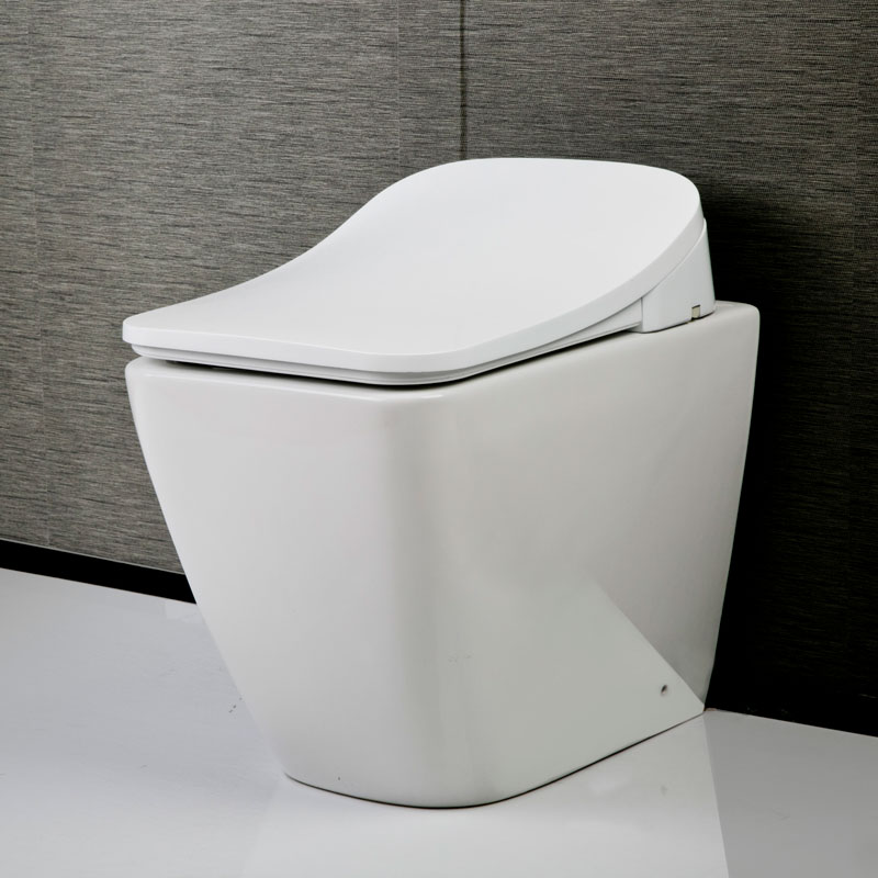  Advanced Bidet Seat With Self-sanitizing Wand Electric Toilets Seat AK-6801G