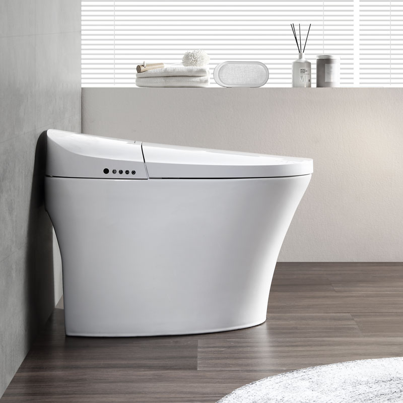 Smart Toilet Bowl Tankless Floor Mounted High Quality Smart Toilet MA-915