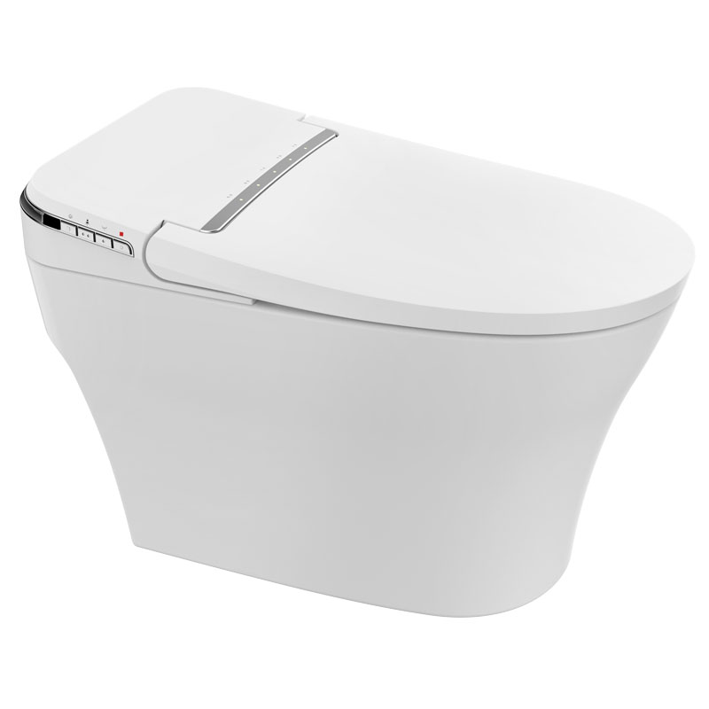 Best Tankless Smart Toilet For Sales Freestanding Toilet With Bidet MA-9511 