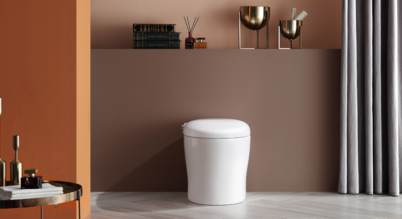 Croatian Customer Highly Praise the Quality of Mazzam Smart Toilet