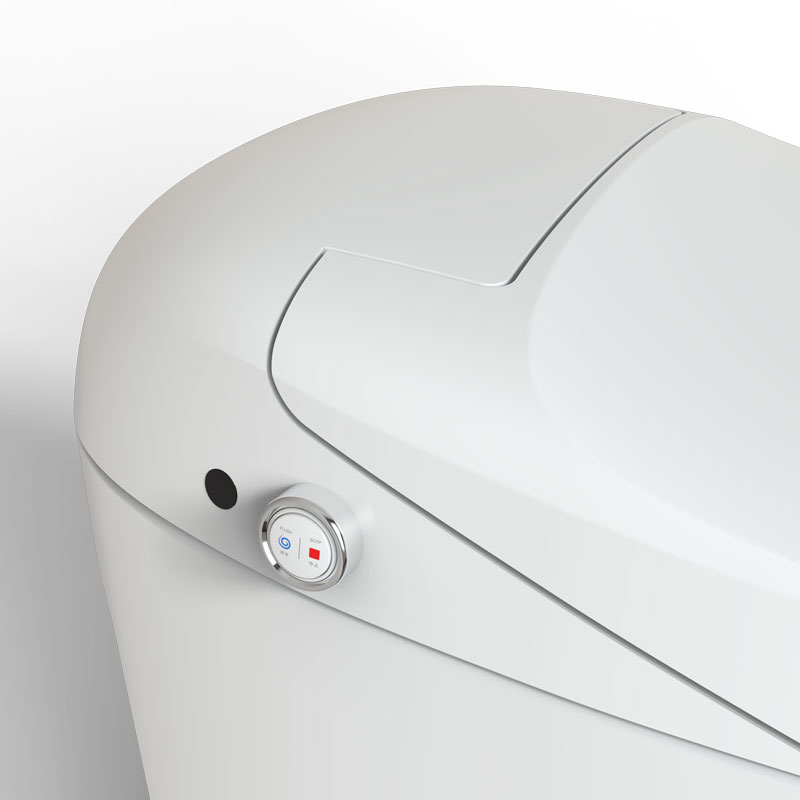 M15 Smart Toilet Functions Demostration Floor-mount Intelligent Bidets Wholesale