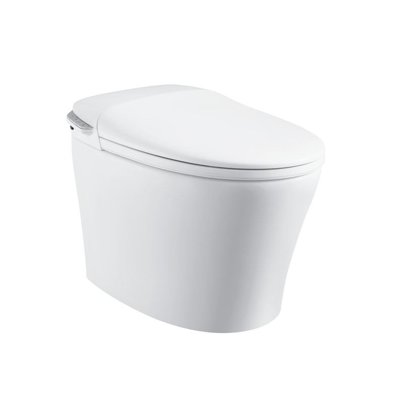 Intelligent Toilet Bathroom One Piece Bidet Seat Smart Toilets MA-925