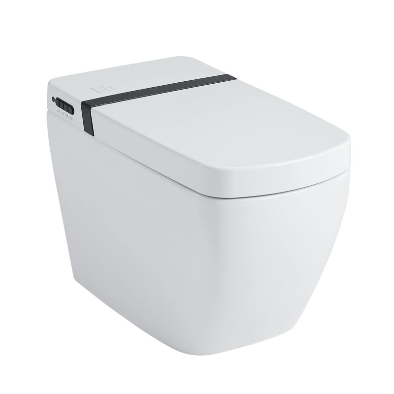Modern Smart Toilet With Bidet Bathroom Intelligent Toilets MA-501B