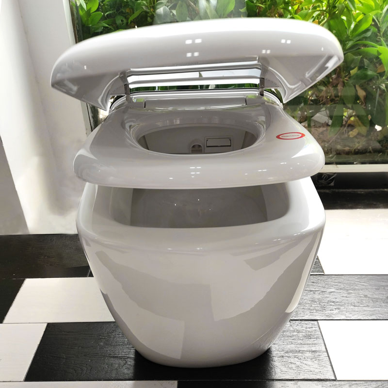 smart toilet china