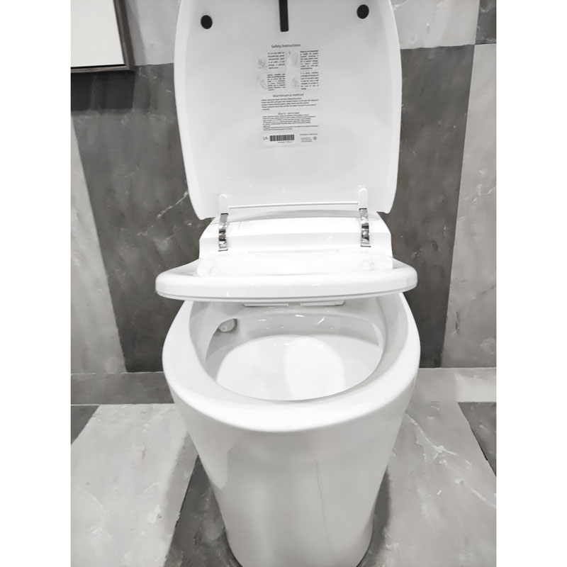 Smart Toilet Modern Remote Control Intelligent Flush Toilet MA-1828