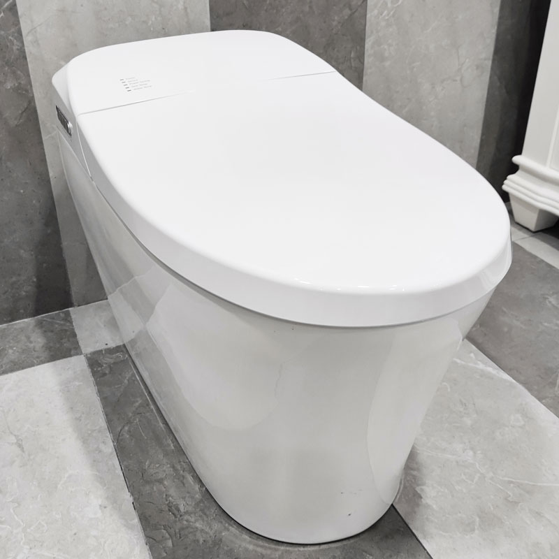 Smart Toilet Modern Remote Control Intelligent Flush Toilet MA-1828