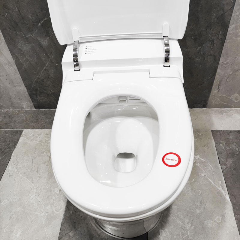 Smart Toilet Modern Remote Control Intelligent Flush Toilet MA-1828