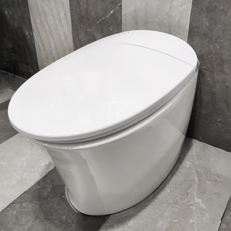 Smart Toilet One Piece Bathroom Hot Selling Sanitary Ware MA-918
