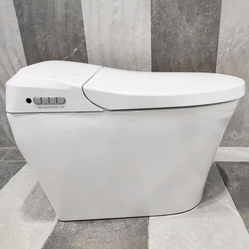 Smart Toilet Modern Remote Control Intelligent Flush Toilet MA-1828