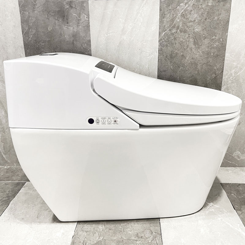 Smart Toilet Hot Selling Intelligent Toilet Bowl With Cistern MA-7636