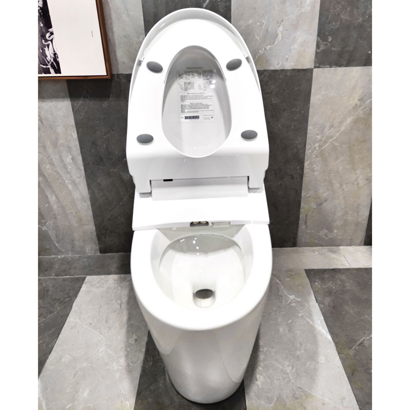 Intelligent Bathroom Smart Toilet With Cistern One Piece Toilets MA-750