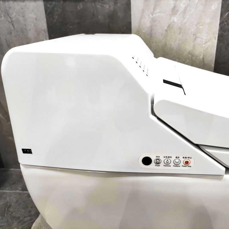 Intelligent Bathroom Smart Toilet With Cistern One Piece Toilets MA-750