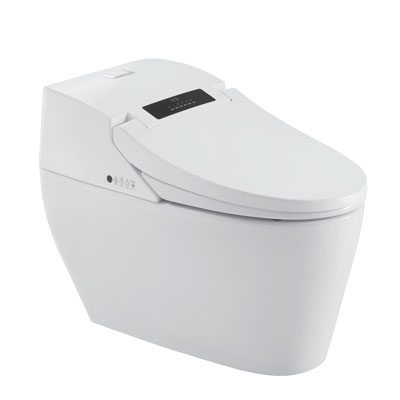 Smart Toilet Hot Selling Intelligent Toilet Bowl With Cistern MA-7636