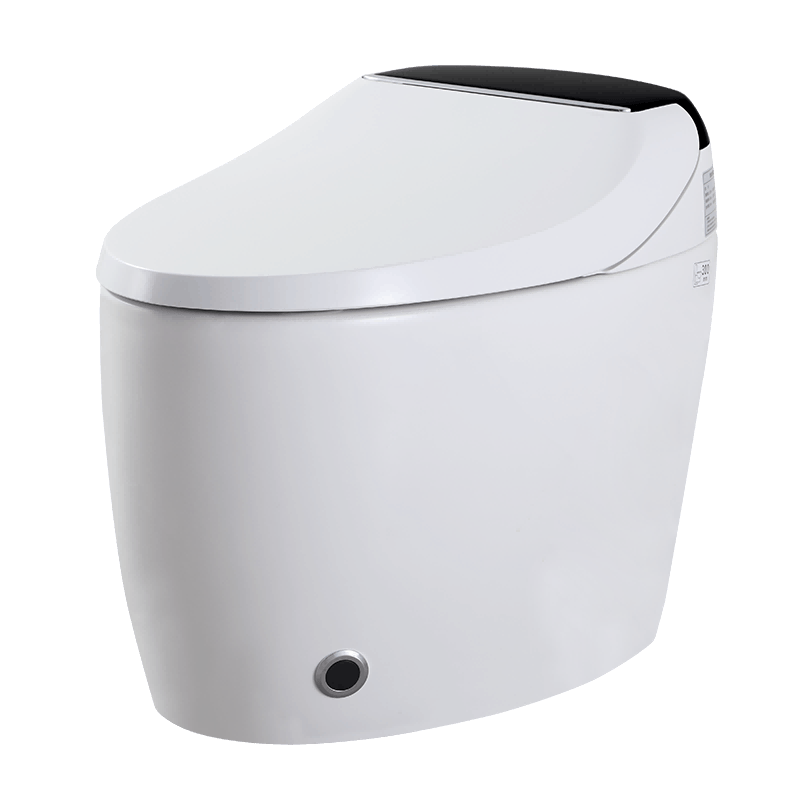 Eco-friendly Intelligent Bidet Toilets Auto Power Save Smart Toilet M603-DS