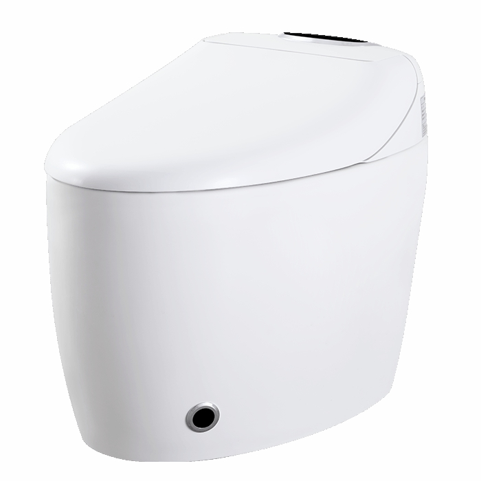 Hands-free Smart Bidet With Instant Heat System Automatic Flush M607-BS