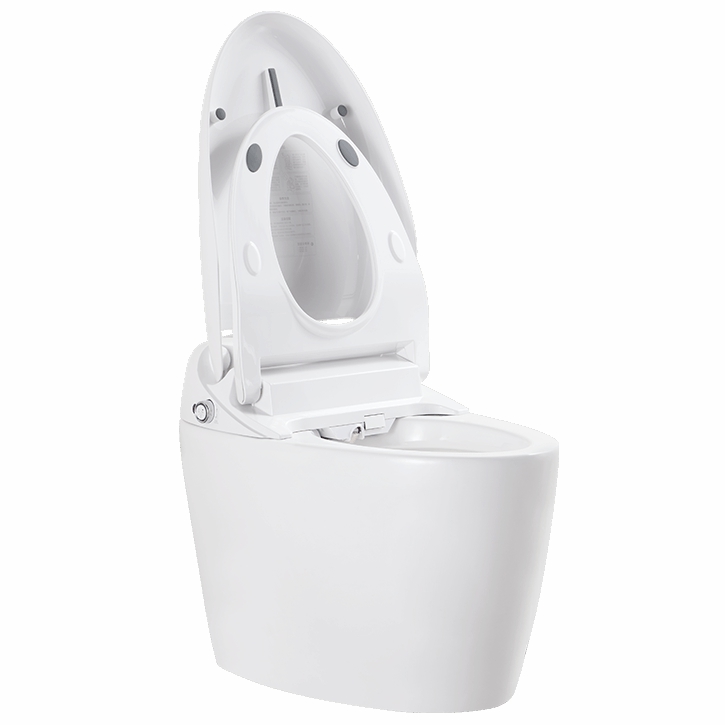 Hands-free Smart Bidet With Instant Heat System Automatic Flush M607-BS