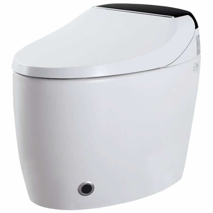 Wireless Remote Bidet Automatic Flushing Smart Japanese Toilet M803-DS