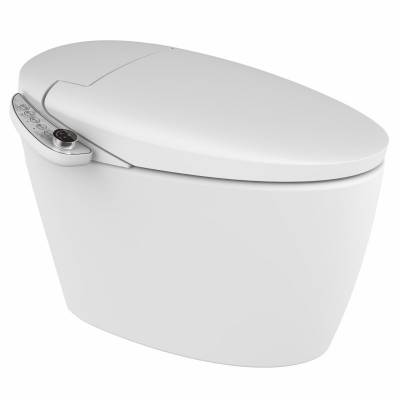 Top Tankless Smart Toilet Bathroom One Piece Toilet Bidet MA-M20