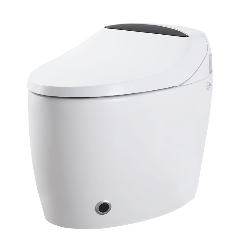 Smart Hygiene Bidet Warm-water Cleansing Intellignet Smart WC Toilets M806-DS
