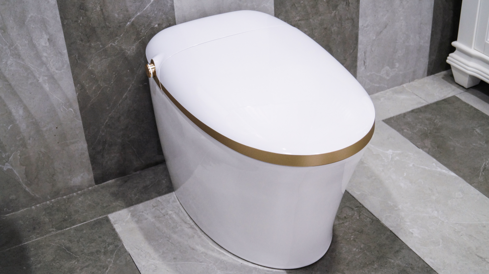 intelligent bidet toilet seat