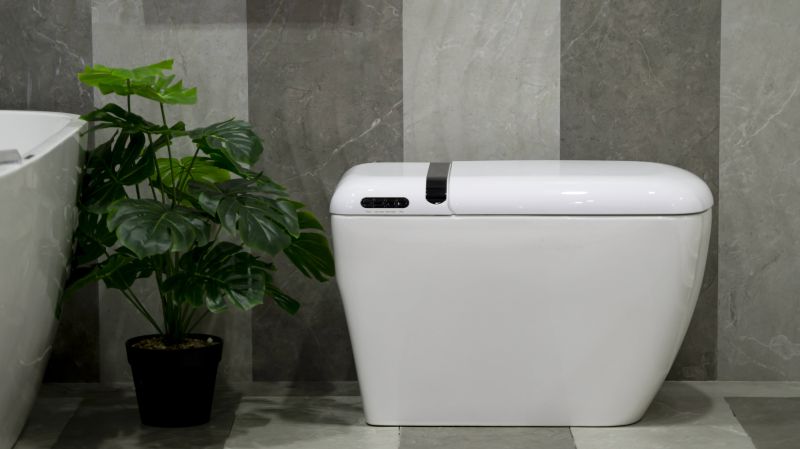 smart toilet bidet