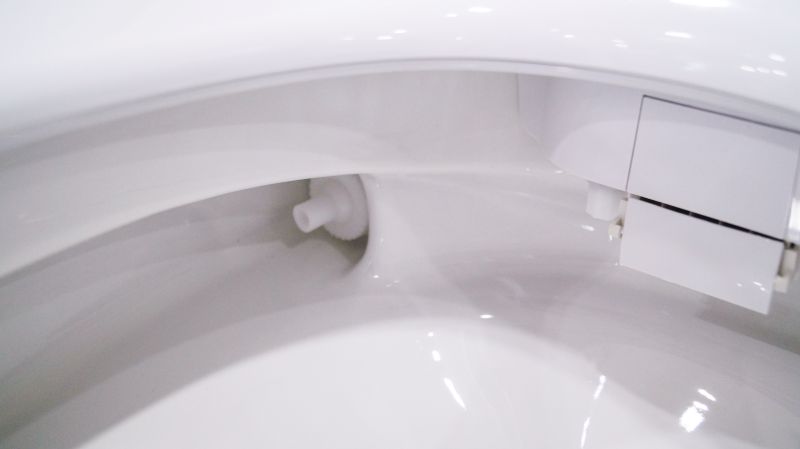 intelligent flushing toilet seat